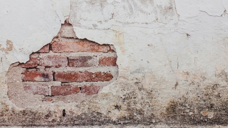 Fixing Different Types Of Damp